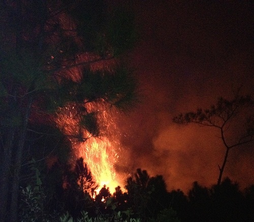 Cháy lớn, gần 10ha rừng thông 20 năm tuổi bị thiêu rụi